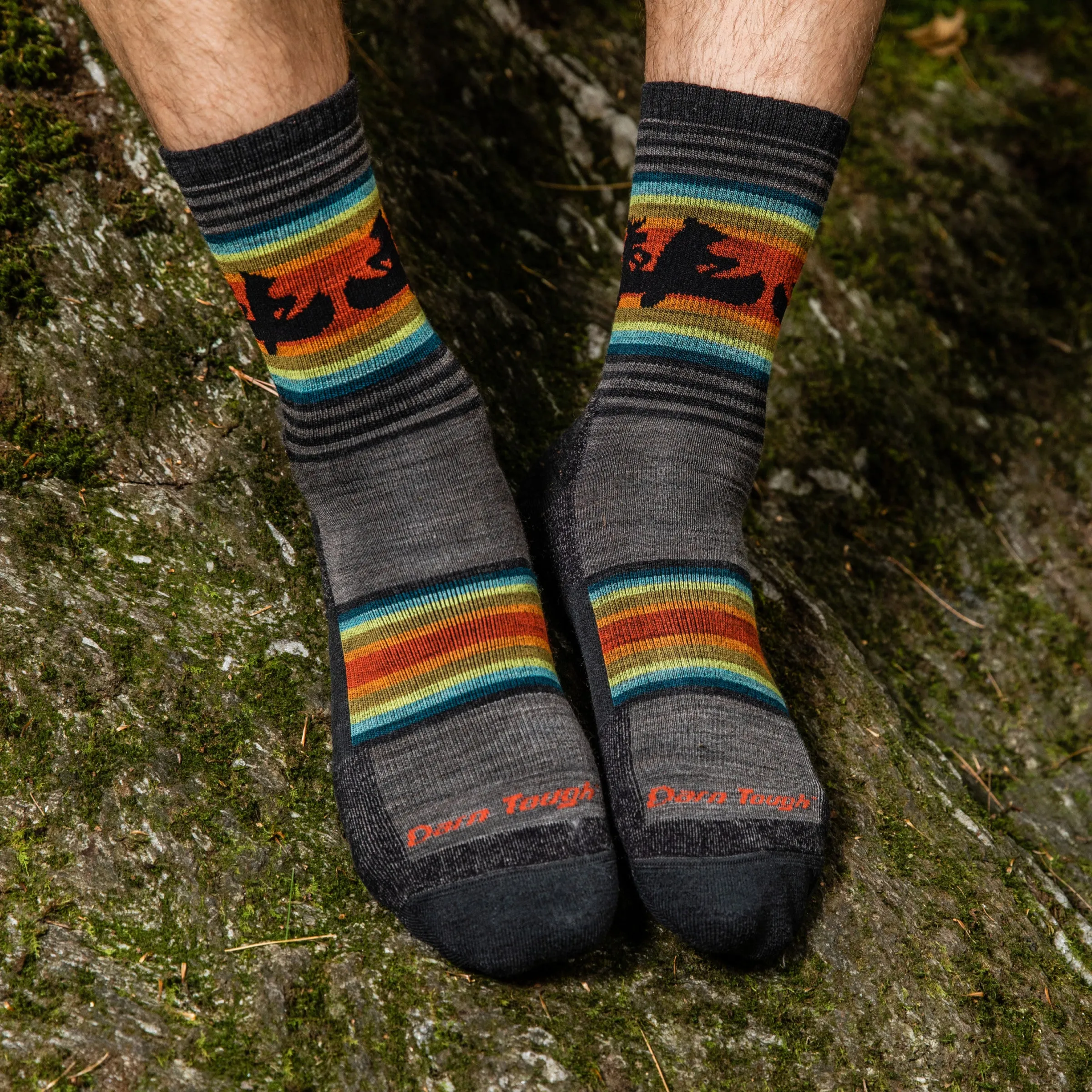 Men's Willoughby Micro Crew  Lightweight Hiking Sock